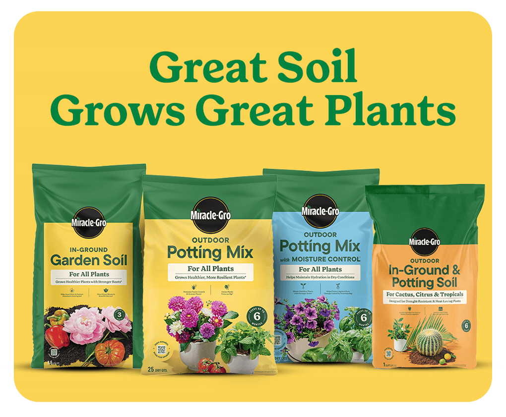 miracle gro outdoor product lineup