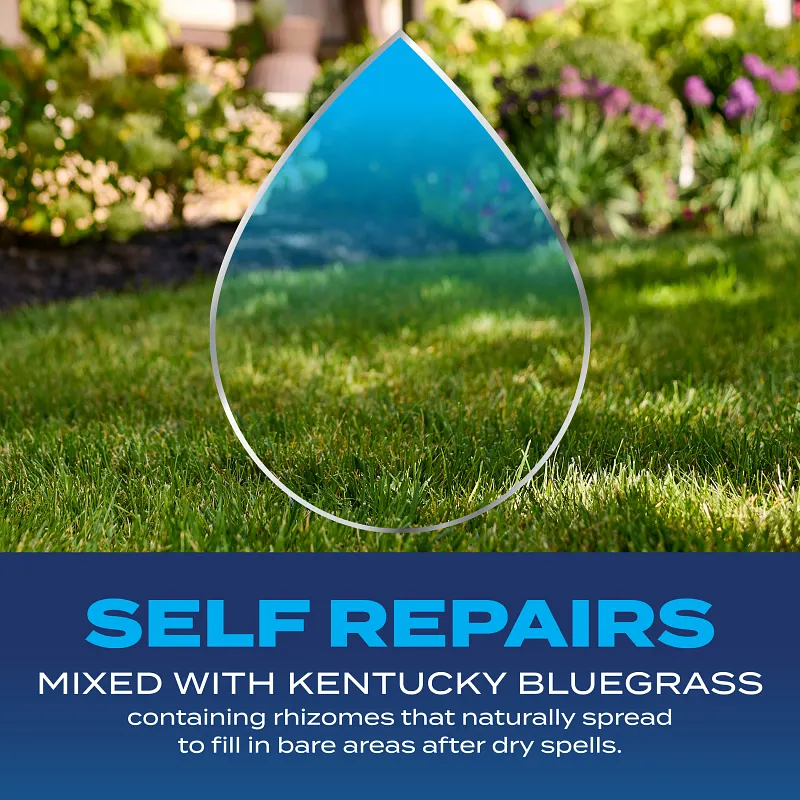 Scotts&reg; Grass Seed Drought Tolerant Mix image number 4.0