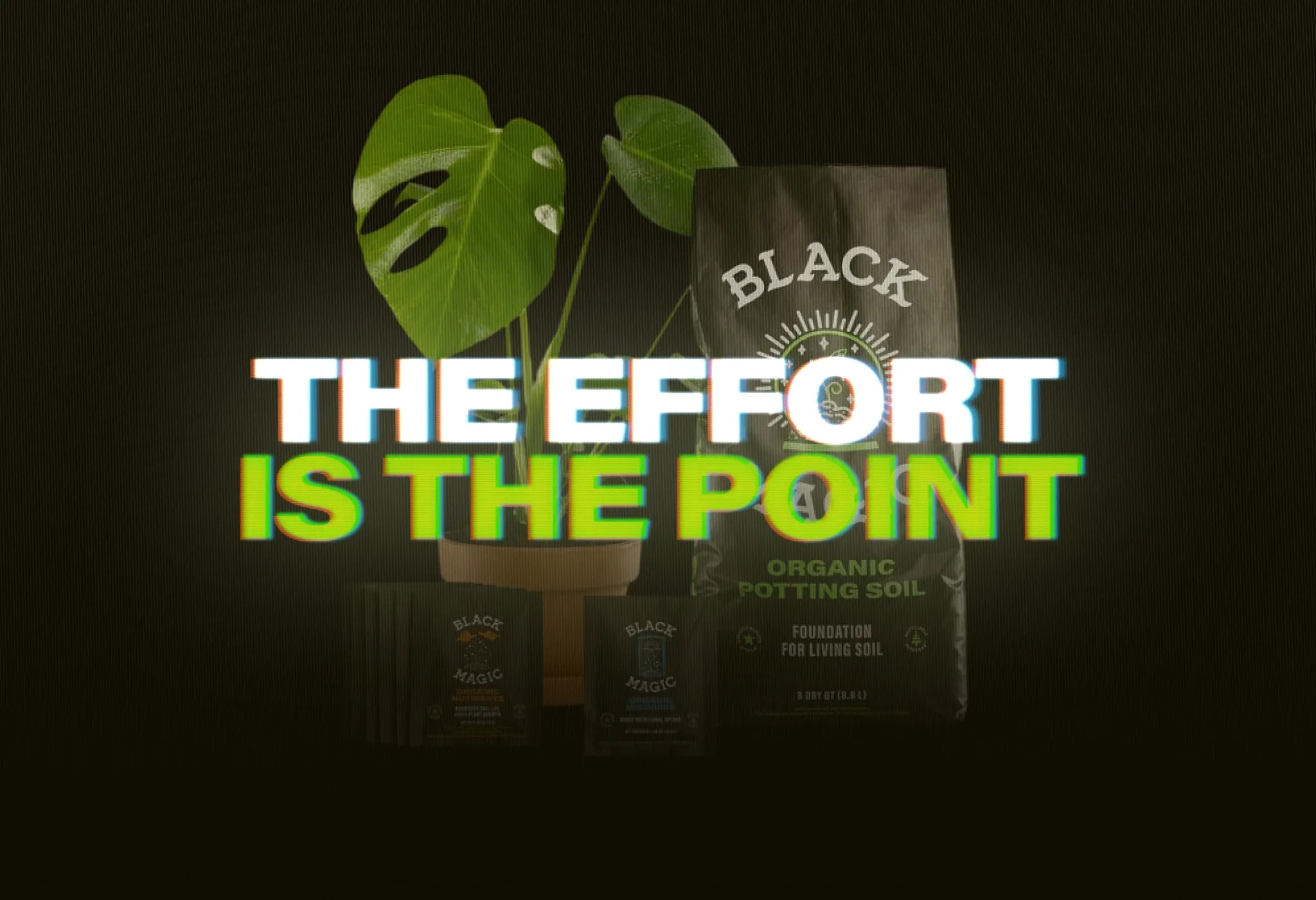 The effort is the point.