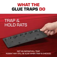 Tomcat&reg; Glue Traps Rat Size with Eugenol for Enhanced Stickiness Image 5