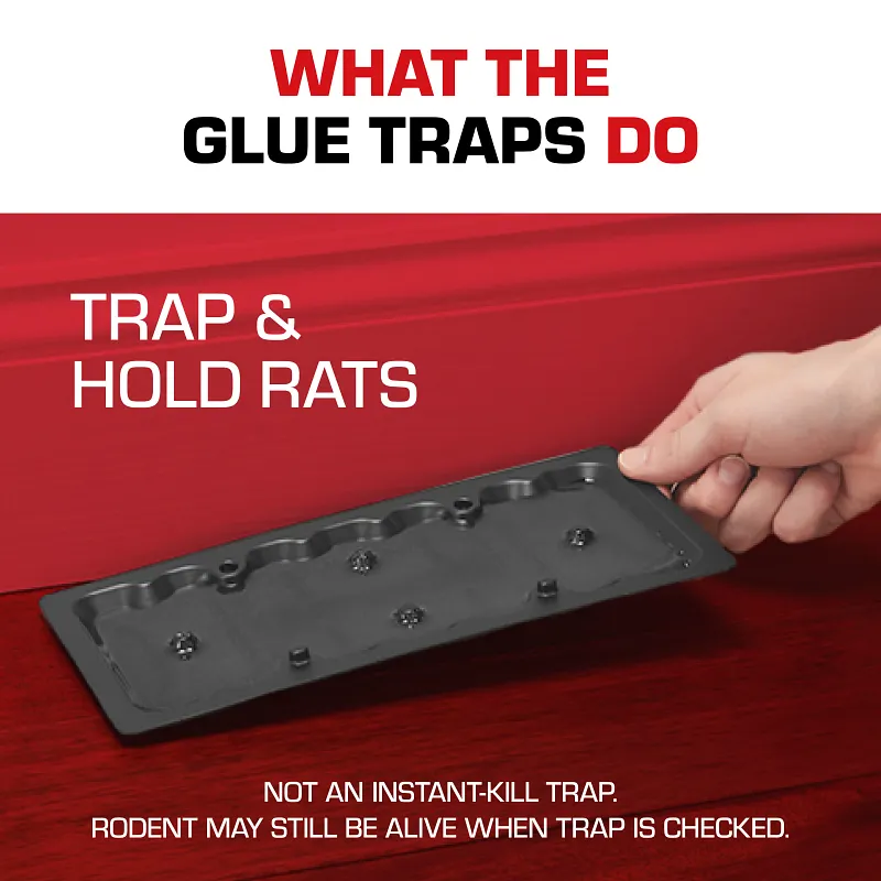 Tomcat&reg; Glue Traps Rat Size with Eugenol for Enhanced Stickiness Image 5