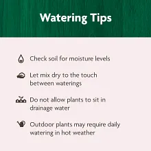 Miracle-Gro Organic&trade; Raised Bed & Garden Soil image number null