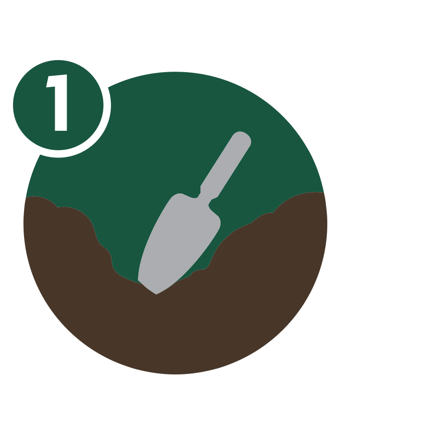 gif of plant food tablets