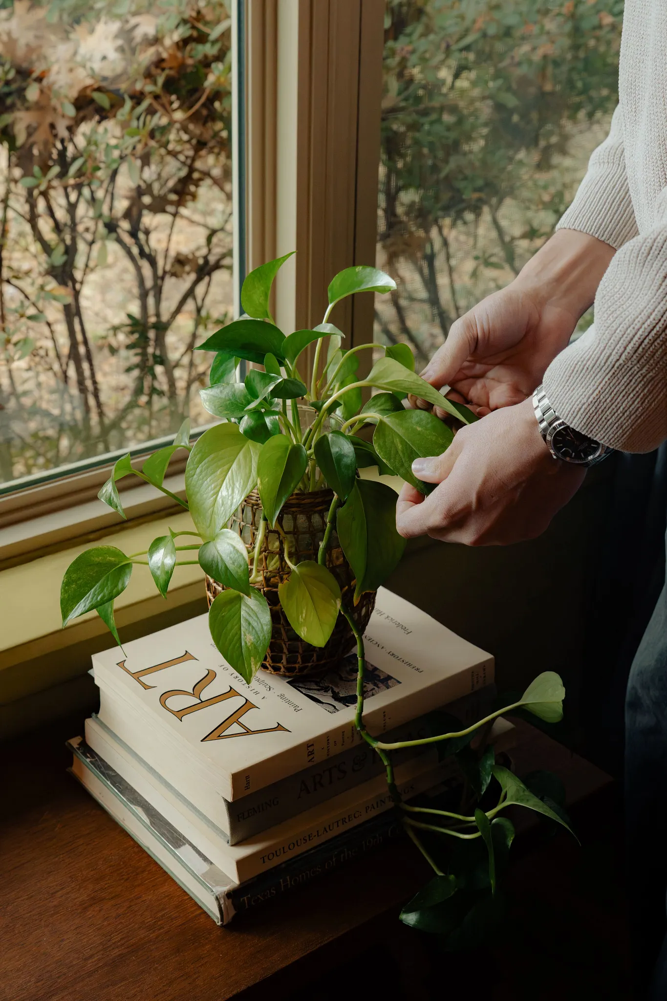 Terrence arranging a potted plant on top of some books on his window sill