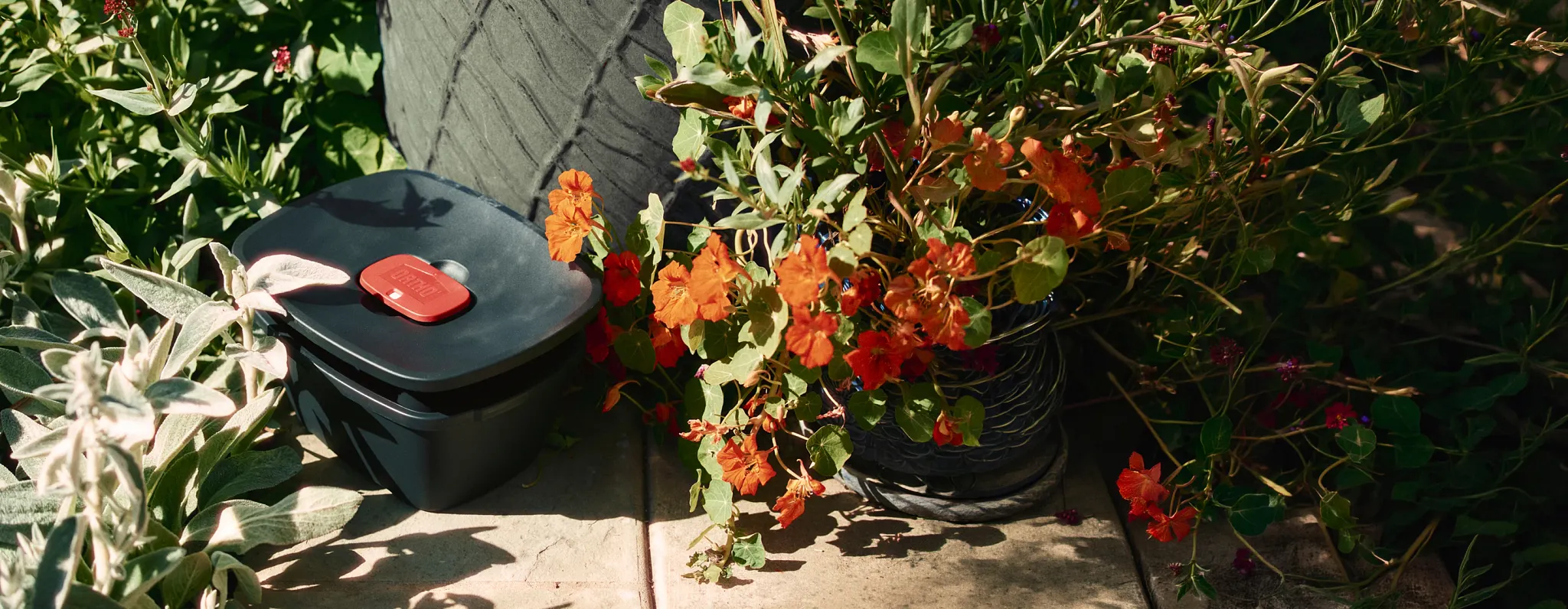 A mosquito kill and prevent unit sitting in the corner of a patio near a planter and garden bed