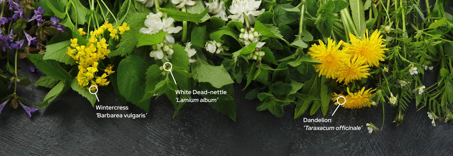 different weeds