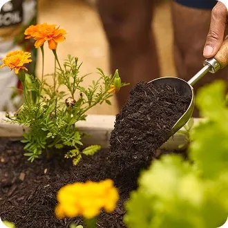 Organic Gardening