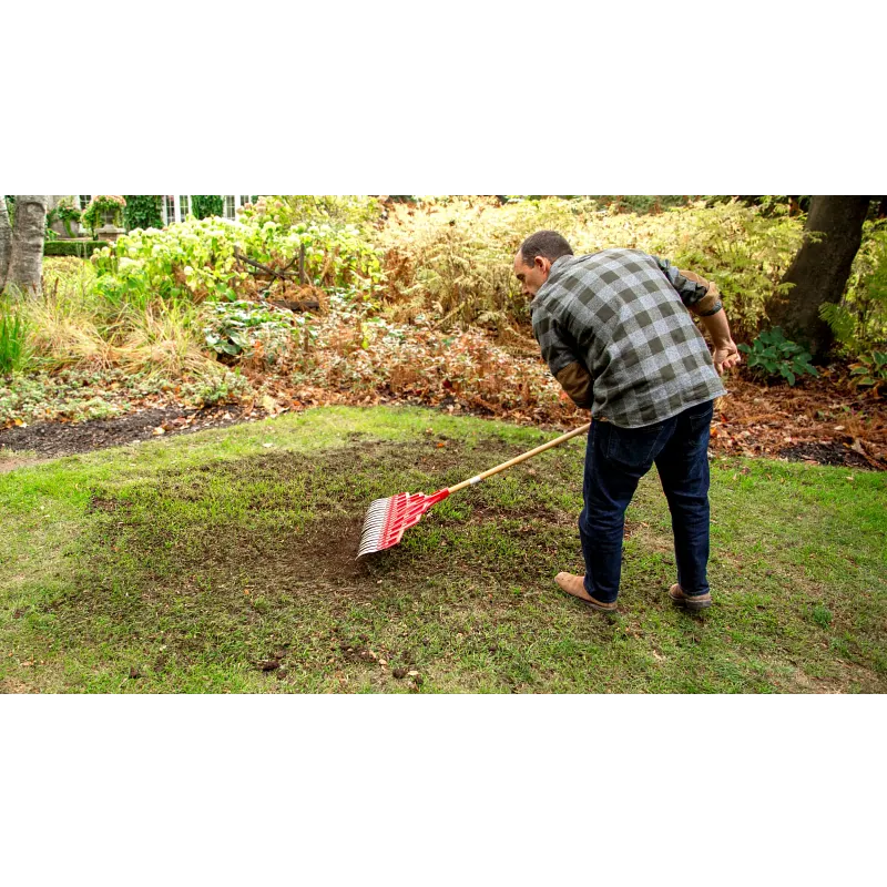 Scotts&reg; Turf Builder&reg; Quick + Thick&trade; Grass Seed Sun - Shade image number 5.0