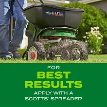 Scotts&reg; Turf Builder&reg; Rapid Grass Tall Fescue Mix image number null
