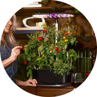 woman and child with aerogarden filled with peppers