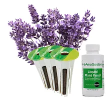 AeroGarden Lots of Lavender Seed Pod Kit image number null