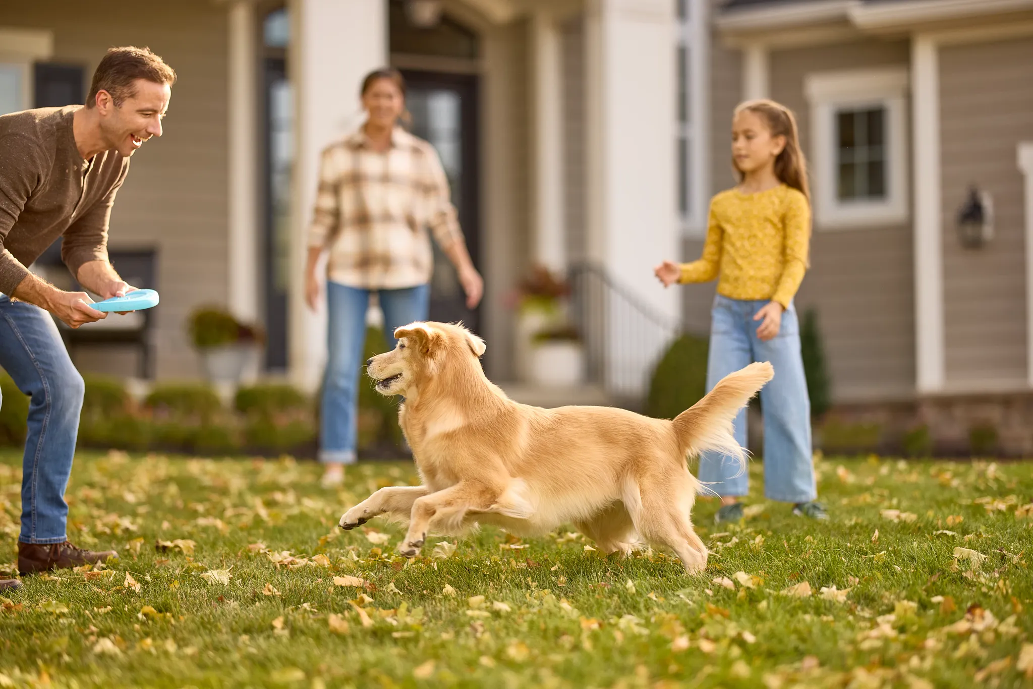 Family playing frisbee with their golden retriever on a fall lawn.