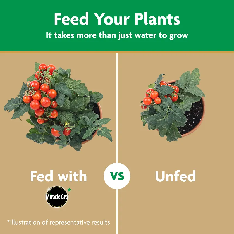 Miracle-Gro&reg; Water Soluble Tomato Plant Food image number 8.0