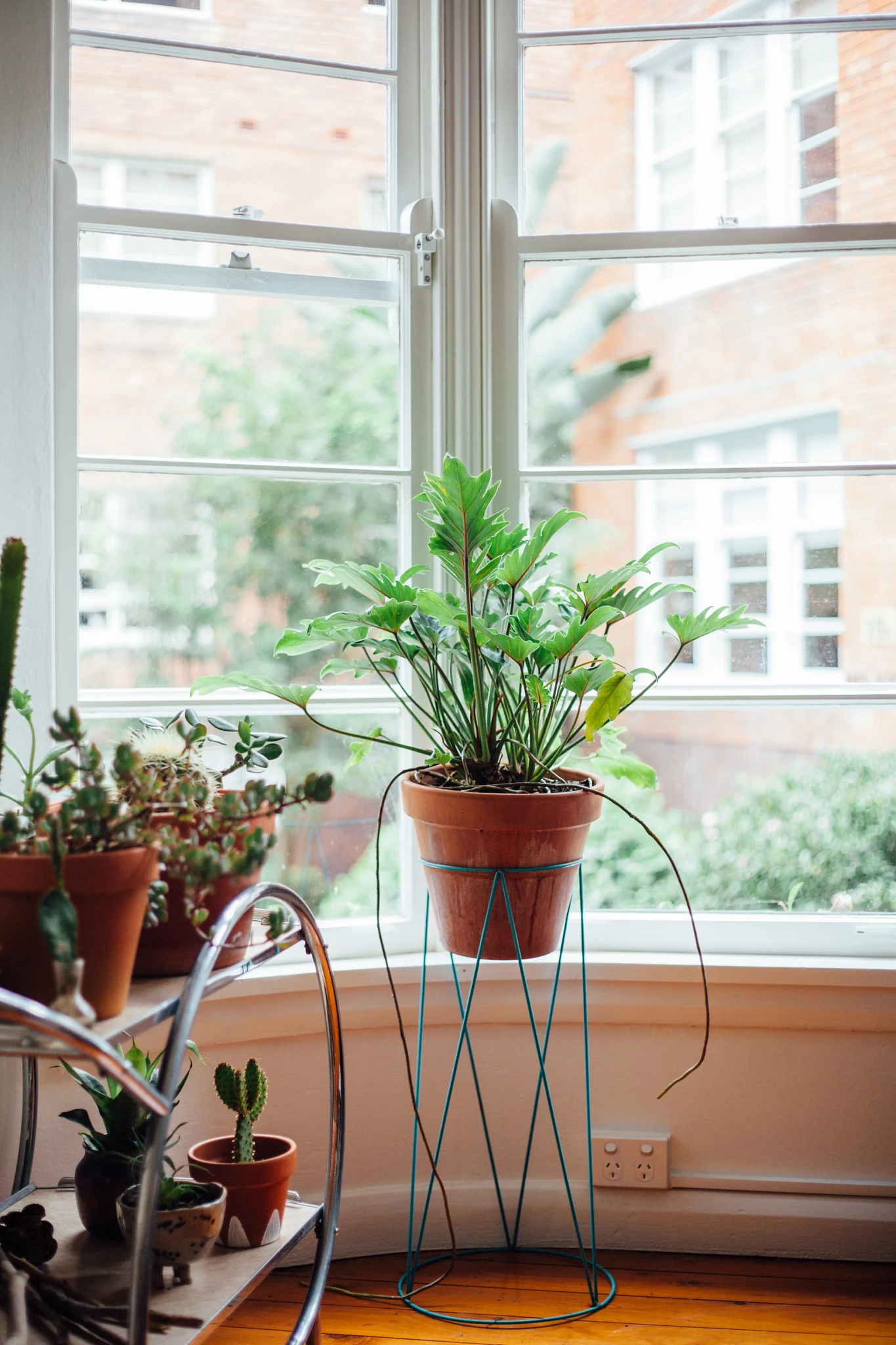 Ultimate Guide to Apartment Gardening | ScottsMiracle-Gro US