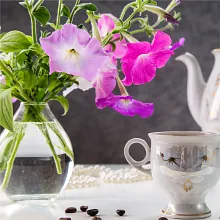 AeroGarden Cascading Petunias Seed Pod Kit image number null
