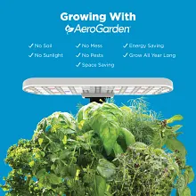 Harvest Lite image number null