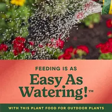 Miracle-Gro&reg; LiquaFeed Tomato, Fruits & Vegetables Plant Food image number null