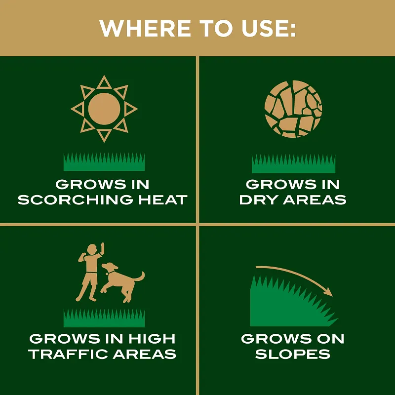 Scotts&reg; EZ Seed&reg; Patch & Repair Bermudagrass image number 8.0