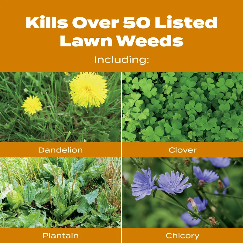 Scotts&reg; Turf Builder&reg; WinterGuard&reg; Fall Weed & Feed₅ image number 4.0