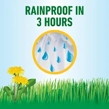 Roundup&reg; For Lawns₁ image number null