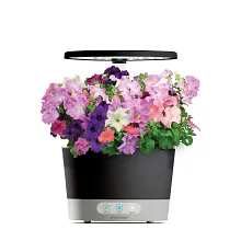 AeroGarden Cascading Petunias Seed Pod Kit image number null