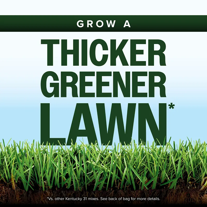 Scotts Kentucky 31 Grass Seed Mix image number 2.0