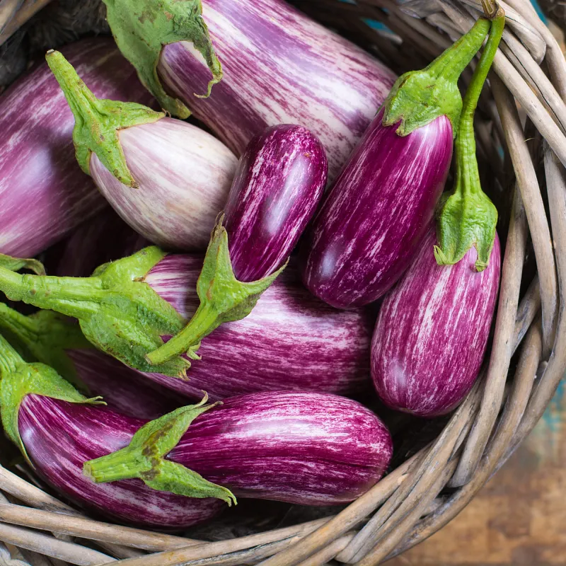 Fairy Tale Eggplant Seed Pod Kit image number 6.0