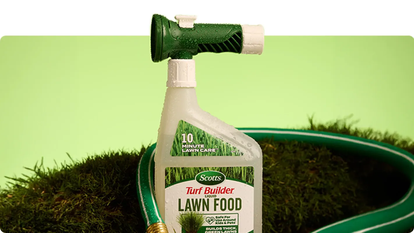 A bottle of Scotts Turf Builder Liquid Lawn Food with a hose attachment nozzle sitting on a patch of green grass.