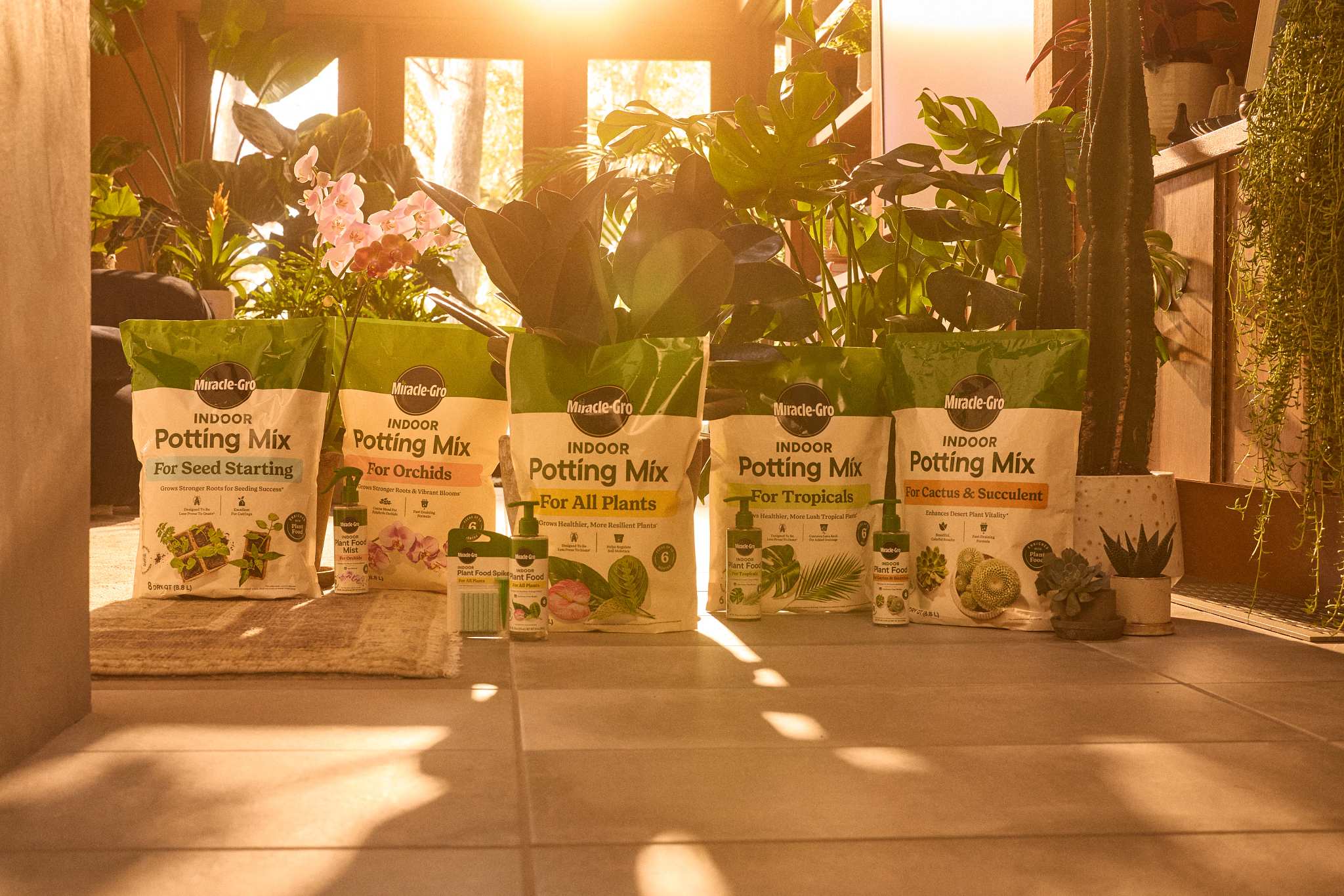 collection of miracle gro indoor products sitting on the floor in front of multiple potted plants 